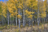 2018_09_06 thru 13 Colorado