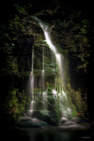 2020_05_09 Kings Bluff and Fuzzybutt Falls