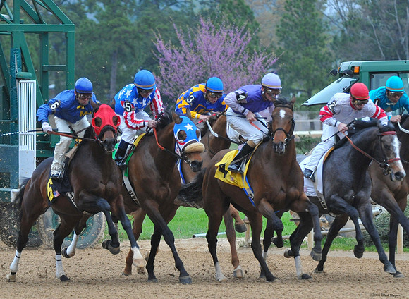 Oaklawn Park - 2008