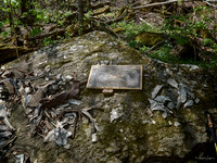 2026_04_05 Roundtop Mtn_Fern Falls