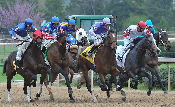 Oaklawn Park - 2008