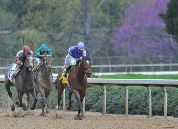 Oaklawn Park - 2008