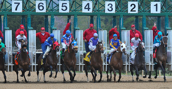 Oaklawn Park - 2008