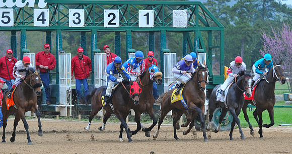 Oaklawn Park - 2008