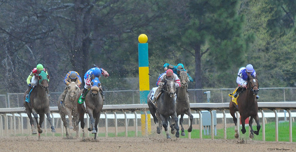 Oaklawn Park - 2008
