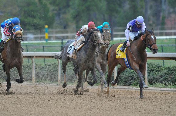 Oaklawn Park - 2008