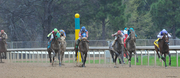 Oaklawn Park - 2008
