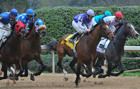 Oaklawn Park - 2008
