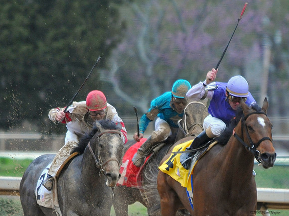 Oaklawn Park - 2008