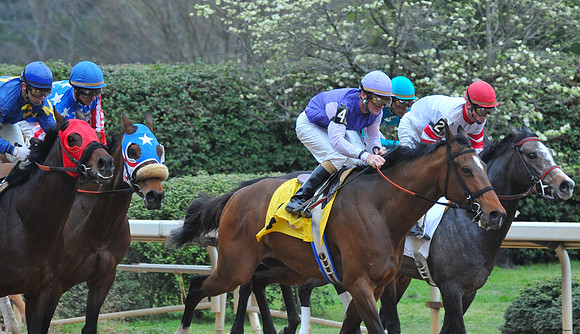 Oaklawn Park - 2008