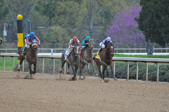 Oaklawn Park - 2008