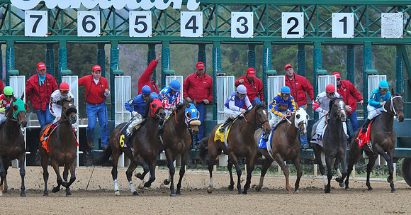 Oaklawn Park - 2008