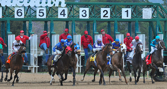 Oaklawn Park - 2008
