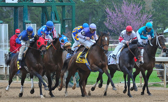 Oaklawn Park - 2008