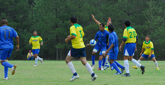 PAS_4399 - Version 2