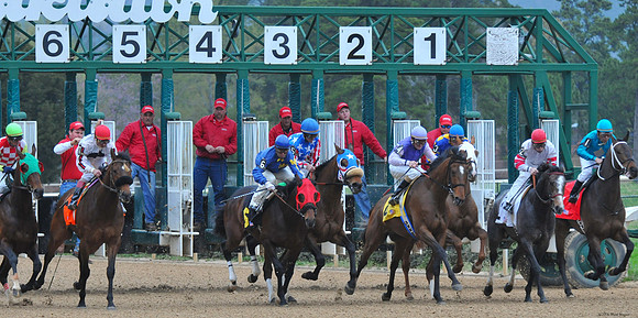 Oaklawn Park - 2008