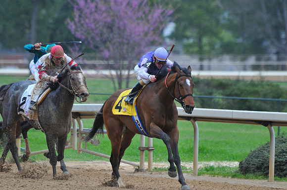 Oaklawn Park - 2008