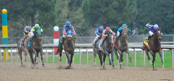Oaklawn Park - 2008